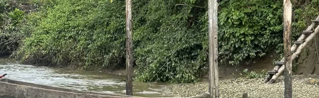 A dugout canoe pulled up on a gravel bank beside a jungle river, with stilt-house posts and a wooden ladder.